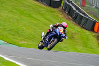 anglesey;brands-hatch;cadwell-park;croft;donington-park;enduro-digital-images;event-digital-images;eventdigitalimages;mallory;no-limits;oulton-park;peter-wileman-photography;racing-digital-images;silverstone;snetterton;trackday-digital-images;trackday-photos;vmcc-banbury-run;welsh-2-day-enduro